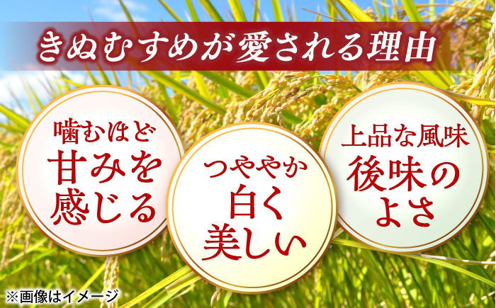 ＼新生活応援企画！／【数量限定50個】【4月末まで！】豊かな自然が育んだお米 松江市産きぬむすめ 5kg 島根県松江市/フジキコーポレーション株式会社 [ALDS020]