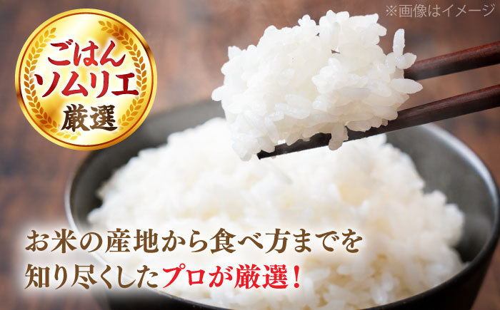【令和7年産】【数量限定50個】島根県産「プレミアムつや姫たたら焔米（特別栽培米・雲南市）」20kg（5kg×4）島根県松江市/有限会社藤本米穀店 [ALCG036]