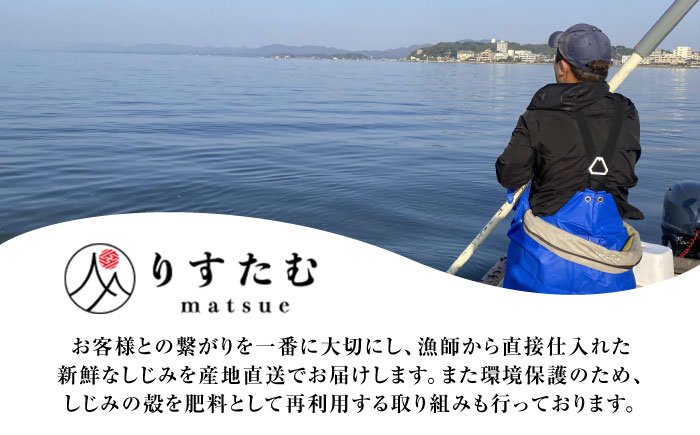 【全3回定期便】産地直送！宍道湖産 冷凍大和しじみMサイズ1kg(500g×2) 砂抜き処理済 島根県松江市/りすたむmatsue [ALDE019]