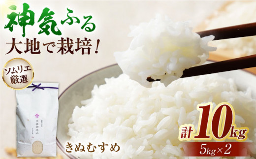 島根県産「出雲神名火きぬむすめ」10kg(5kg×2) 島根県松江市/有限会社藤本米穀店 [ALCG013]