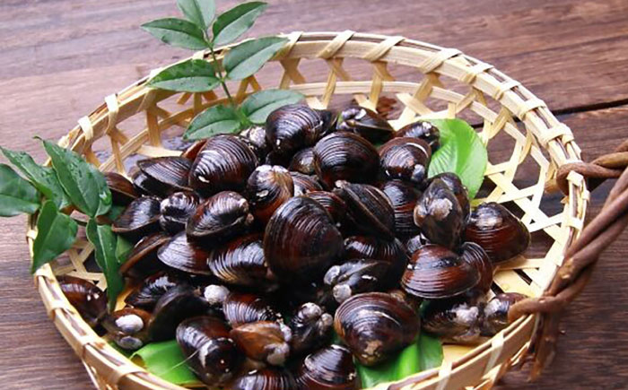 宍道湖産しじみ使用 しじみラーメン貝付 6食セット 島根県松江市/株式会社なかたか [ALBQ003]