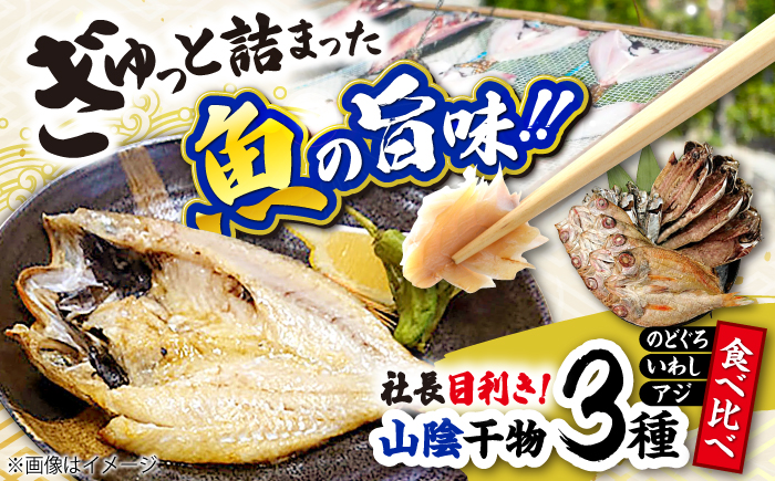 社長目利き！山陰干物3種食べ比べ 島根県松江市/株式会社K’s食品 [ALAQ001]