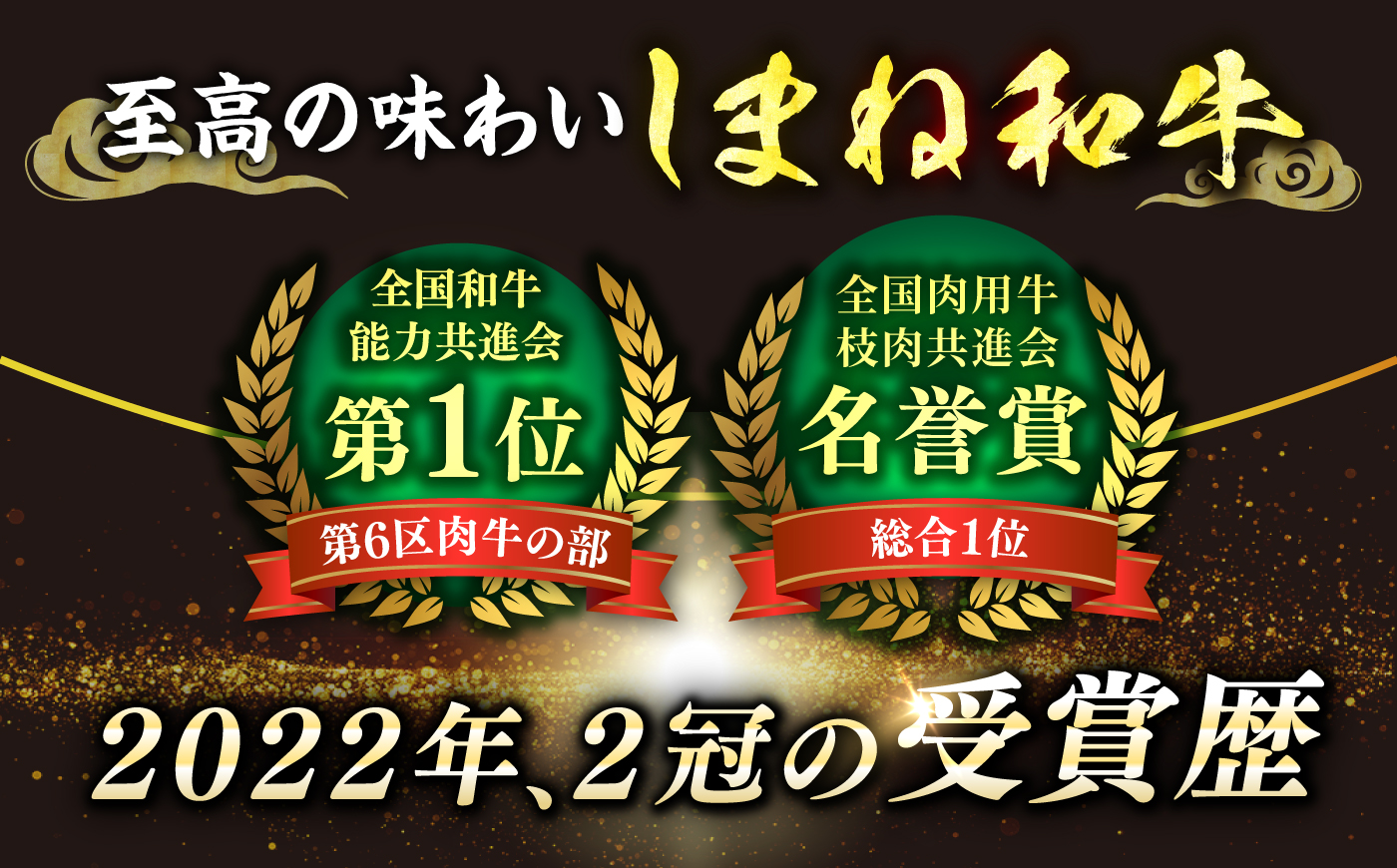 最高級品質の和牛肉！しまね和牛 ロースすき焼き用 500g（250g×2パック） 島根県松江市/有限会社宮本食肉店 [ALCV014]