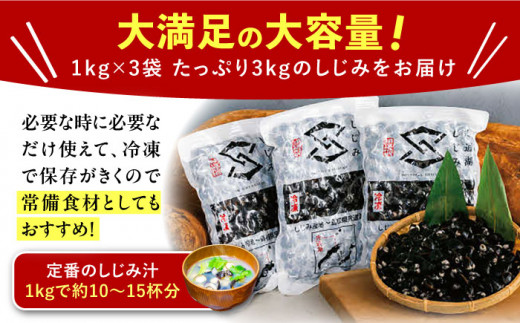 地元でも入手困難なレアサイズ！ Lサイズ 宍道湖産ヤマトシジミ(冷凍砂抜き済み)1kg×3袋(3kg) 島根県松江市/宍道湖漁業協同組合 [ALAZ002]