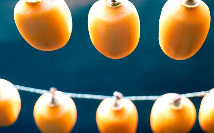 【先行予約】【2025年11月30日より順次発送】【数量限定80個】西条柿の美味しさを満喫！ドライフルーツと干し柿（L） セット 島根県松江市/須山農園 [ALBD002]