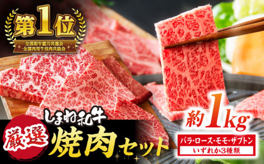 極上厳選！受賞歴多数 しまね和牛 焼肉セット 部位3種(1kg) 島根県松江市/株式会社O.R.C [ALEF003]