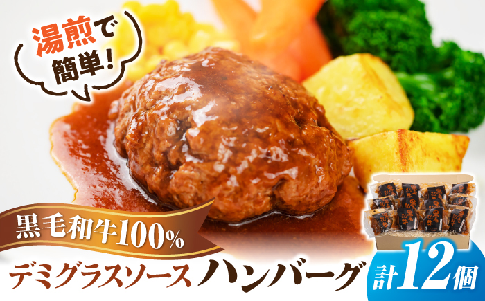 黒毛和牛100％デミグラスソースハンバーグ　計12個 島根県松江市/株式会社MJビーフ　 [ALIO006]