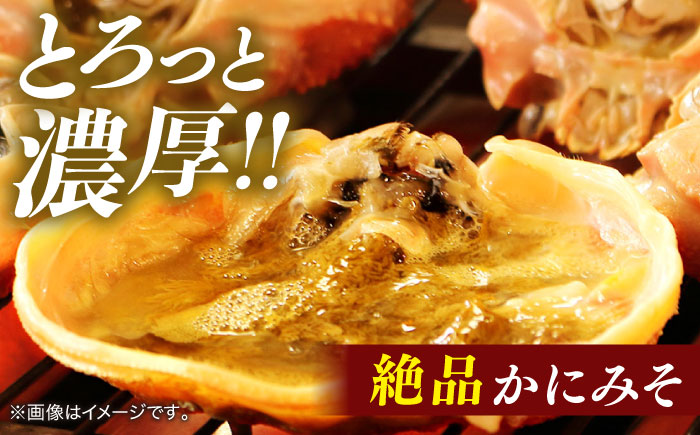 境港の漁師が厳選！山陰産紅ずわいがに姿×2枚 ボイル 冷蔵 人気 カニ おすすめ 島根県松江市/株式会社漁師村 [ALDN004]