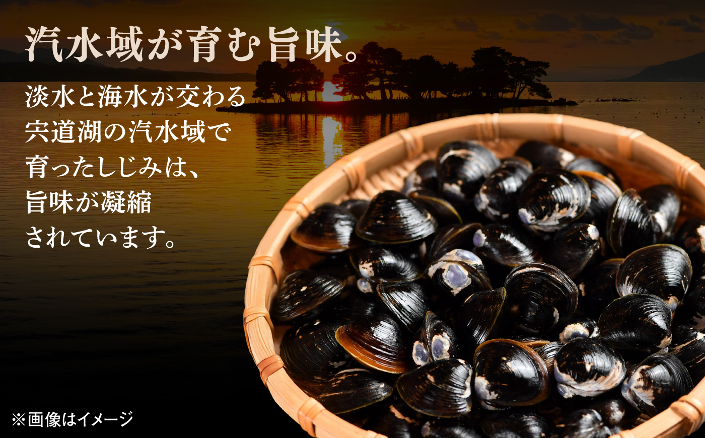 しまねっこのしじみ汁(2人前)×2セット　島根県松江市/有限会社小西本店 [ALAS007]