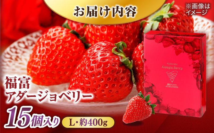島根県松江市「のつ農園」　完熟いちご「福富アダージョベリー」　15個入り 島根県松江市/山陰中央テレビジョン放送株式会社 [ALFI004]