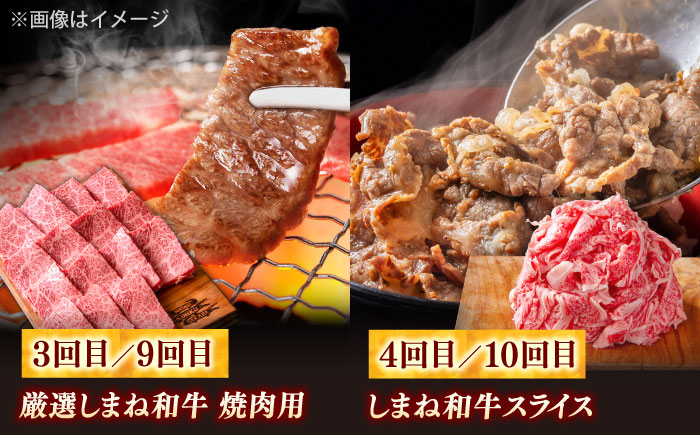 【全12回定期便】叉鬼の焼肉酒場 豪華特別セット！（ハラミ・牛タン・厳選焼肉・スライス・しゃぶしゃぶ/すき焼き・ヒレステーキ）計8.2kg　島根県松江市/株式会社O.R.C [ALEF014]