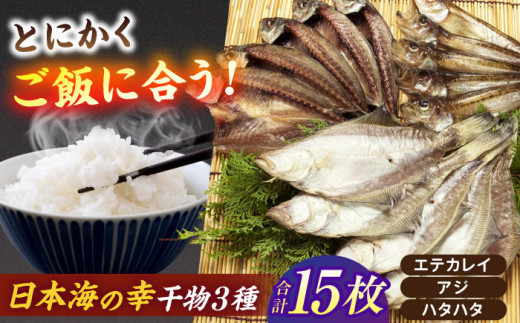 一度食べたらやみつき！恵曇一夜干しセット3種×5尾 島根県松江市/有限会社丸三商店 [ALCP002]