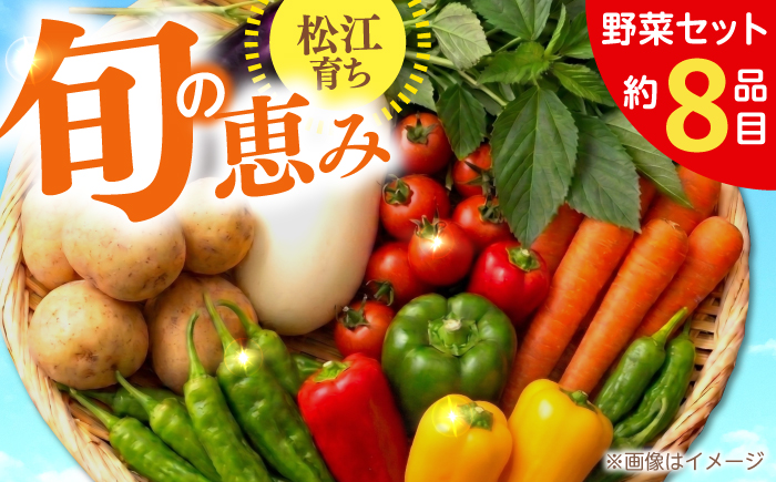 【旬の野菜セット】野菜 産地直送 詰め合わせ 栽培期間中農薬不使用 セット　島根県松江市/須山農園 [ALBD004]