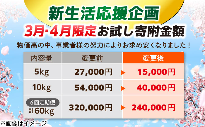 ＼新生活応援企画！／【数量限定100個】【4月末まで！】豊かな自然が育んだお米 松江市産きぬむすめ 10kg島根県松江市/フジキコーポレーション株式会社 [ALDS021]