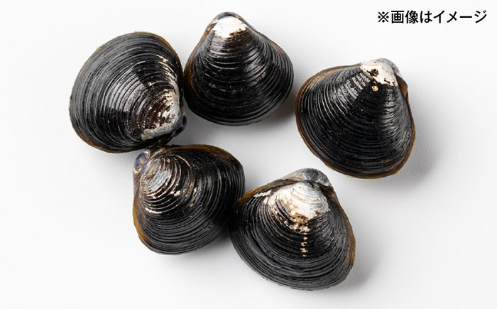 濃厚な旨み！宍道湖産冷凍シジミ3kg　島根県松江市/株式会社山光食品 [ALHZ003]