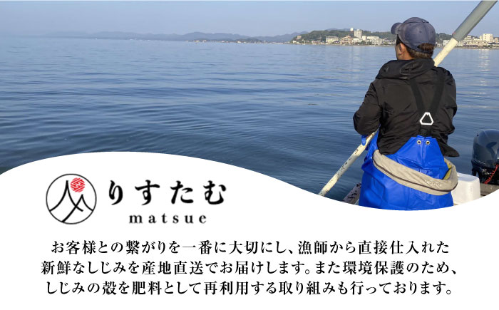 産地直送！宍道湖産 冷凍大和しじみMサイズ1kg(500g×2) 砂抜き処理済 島根県松江市/りすたむmatsue [ALDE005]