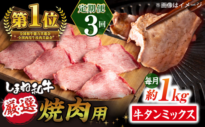 【全3回定期便】焼肉の常識を覆す！店主渾身の隠れ絶品 しまね和牛タンミックス 計約3.0kg　焼肉 牛タン 部位おまかせ ミックス 島根県松江市/株式会社O.R.C [ALEF035]