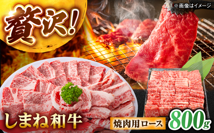 しまね和牛ロース 800g (400g×2パック) 焼肉用 島根県松江市/株式会社さんれいフーズ [ALFR009]