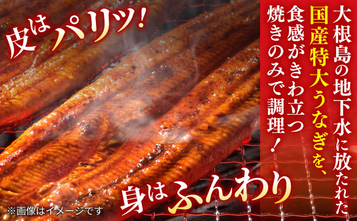 うなぎ老舗専門店のパリっとふっくら国産うなぎ 蒲焼カット4食セット(蒲焼のタレ付き) 島根県松江市/株式会社山美世商会 [ALDC005]