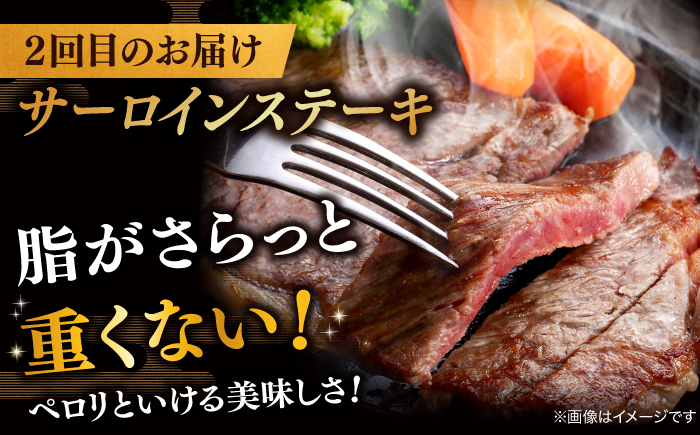 【3回定期便】最高級品質の和牛肉！しまね和牛3回コース(ロースすき焼き・サーロインステーキ・訳ありサイコロステーキ) ブランド牛 焼肉 モモ バラ肉 冷凍 人気 島根県松江市/有限会社宮本食肉 [ALCV006]