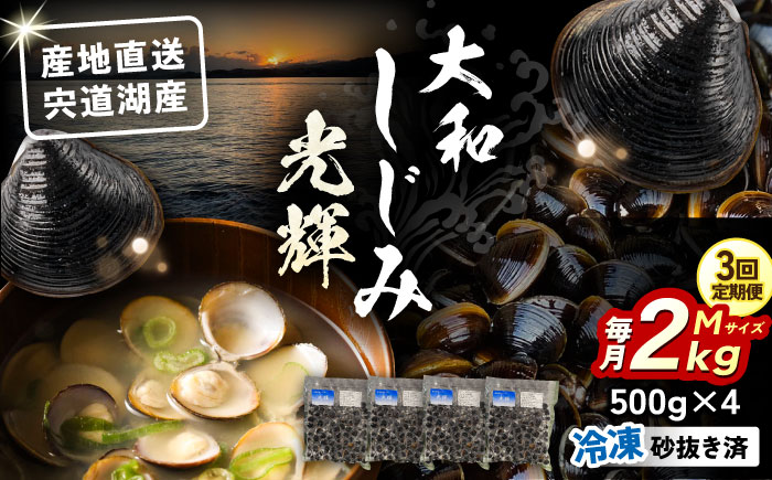 【全3回定期便】産地直送！宍道湖産 冷凍大和しじみMサイズ2kg(500g×4) 砂抜き処理済 島根県松江市/りすたむMatsue [ALDE007]