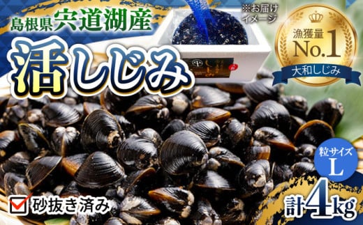 驚きの大容量！宍道湖産活大和しじみ大粒(L)4kg(砂はき済み) 島根県松江市/平野缶詰有限会社 [ALBZ017]