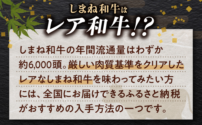 【ブランド牛・しまね和牛】小間切れ 250g×2パック カレー・シチュー用 島根県松江市/Do corporation株式会社（しまね和牛） [ALFU014]