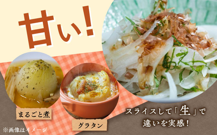 【数量限定10個】【先行予約/2026年6月上旬以降順次発送】美味しまねゴールド認証取得! 松江市産　春おとずれ新たまねぎ 2Lサイズ 5kg 島根県松江市/mishiro farm [ALIJ004]