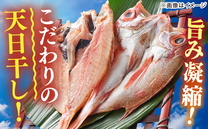 天日ほしもん屋特製 季節の干物セット2万円セット のどぐろ・白いか・季節の干物 贈り物 ギフト お歳暮 島根県松江市/桝谷鮮魚店 [ALCJ003]