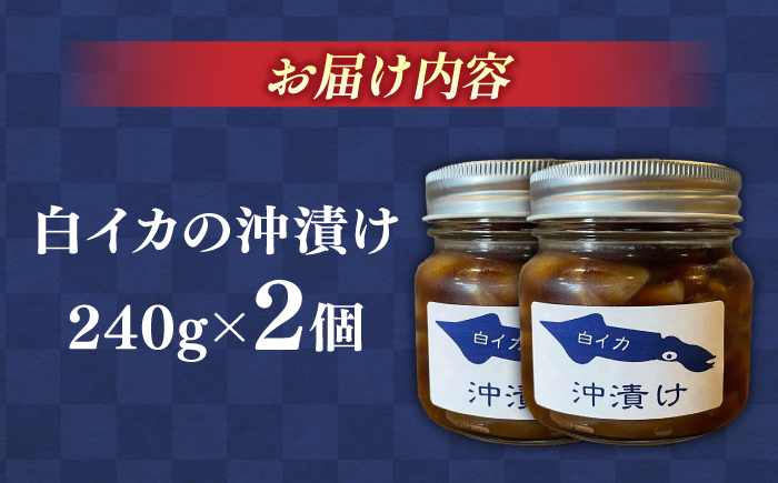 白イカ(ケンサキイカ)の沖漬け240g×2個セット 島根県松江市/海ひこ株式会社 [ALDY004]