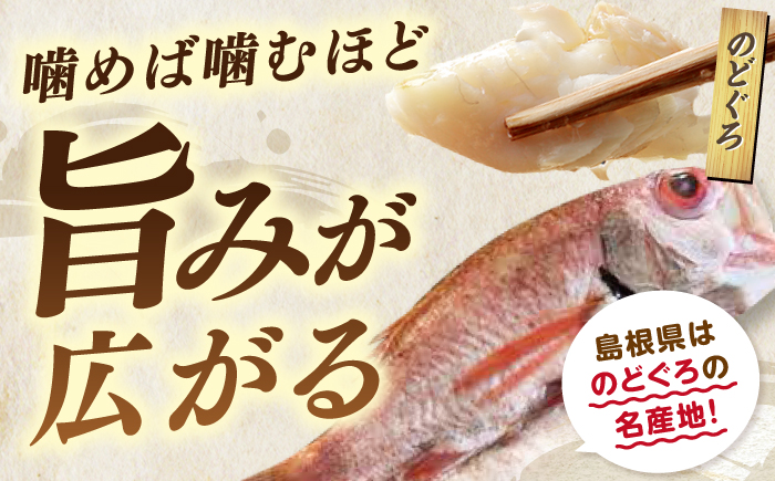 天日ほしもん屋特製 季節の干物セット3万円セット のどぐろ・白いか・季節の干物 贈り物 ギフト お歳暮 島根県松江市/桝谷鮮魚店 [ALCJ004]