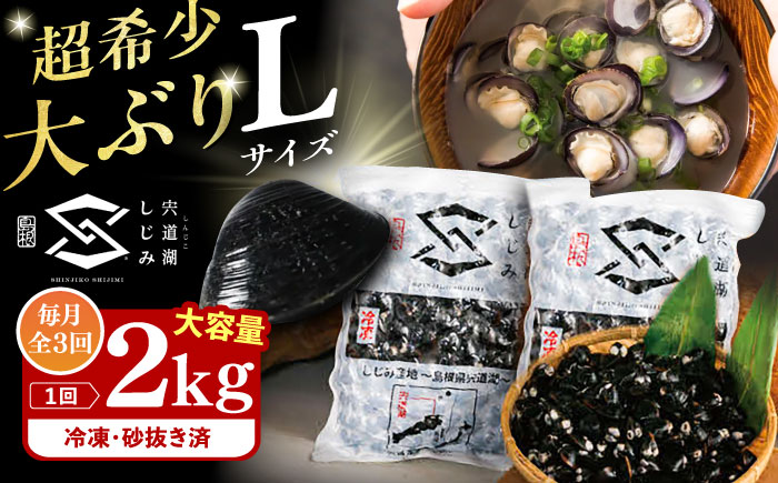 【全3回定期便】地元でも入手困難なレアサイズ！ Lサイズ 宍道湖産ヤマトシジミ(冷凍砂抜き済み)1kg×2袋(2kg) 島根県松江市/宍道湖漁業協同組合 [ALAZ009]