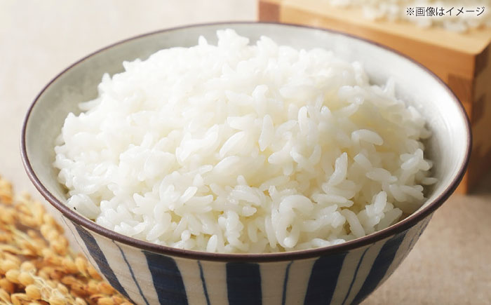 【令和7年産】【数量限定50個】 神話ゆかりの地からお届け！ 島根県産「出雲神名火きぬむすめ」10kg(5kg×2) ブランド米 おすすめ 人気 島根県松江市/有限会社藤本米穀店 [ALCG013]