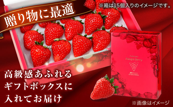 島根県松江市「のつ農園」　完熟いちご「福富アダージョベリー」　12個入り 島根県松江市/山陰中央テレビジョン放送株式会社 [ALFI003]