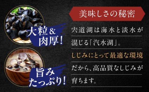 驚きの大容量！宍道湖産活大和しじみ大粒(L)4kg(砂はき済み) 島根県松江市/平野缶詰有限会社 [ALBZ017]