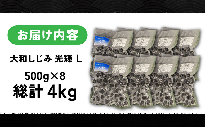 産地直送！宍道湖産 冷凍大和しじみLサイズ4kg(500g×8) 砂抜き処理済 島根県松江市/りすたむmatsue [ALDE004]