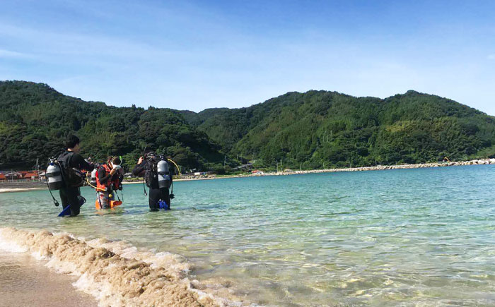 松江で海中散歩♪初心者でも安心の体験ダイビングプラン 島根県松江市/合同会社LOCOBLUE [ALFE001]