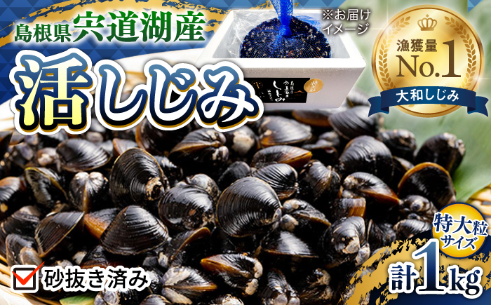 新鮮採れたて！宍道湖産活大和しじみ特大粒1kg(砂はき済み)  島根県松江市/平野缶詰有限会社 [ALBZ022]