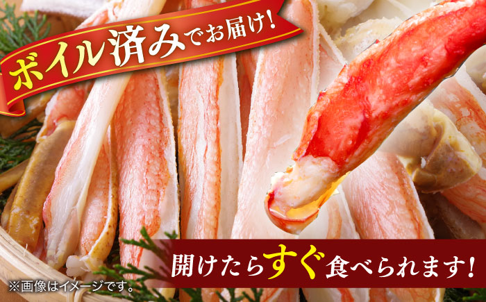 境港の漁師が厳選！山陰産紅ずわいがに姿×2枚 ボイル 冷蔵 人気 カニ おすすめ 島根県松江市/株式会社漁師村 [ALDN004]
