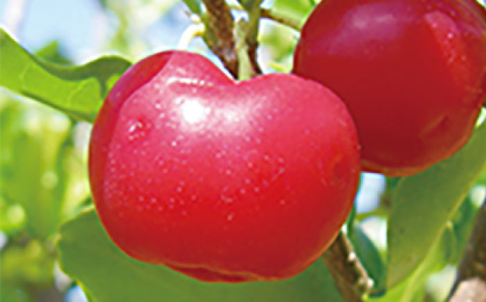 Coyori 高保湿温泉化粧水 100ml しっとり 島根県松江市/株式会社AXES [ALIB002]