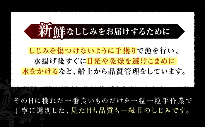 【全6回定期便】産地直送！宍道湖産 冷凍大和しじみLサイズ4kg(500g×8) 砂抜き処理済 島根県松江市/りすたむmatsue [ALDE017]