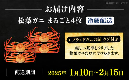 【期間限定・先行予約】冬の味覚の代表格！松葉ガニ 4枚 島根県松江市/フジキコーポレーション株式会社 [ALDS019]