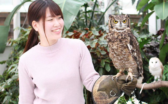 松江フォーゲルパーク入園券(大人2名様分) 島根県松江市/株式会社一畑パーク [ALHY001]