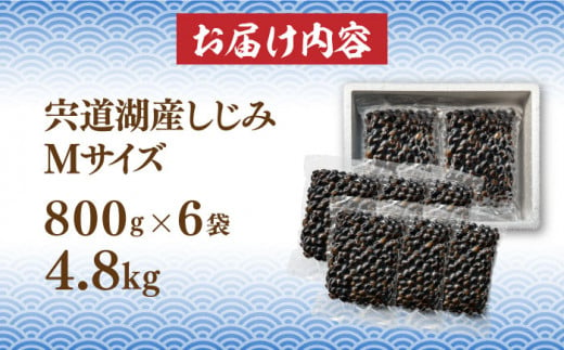 宍道湖産 冷凍大和しじみ 砂抜き済 Mサイズ800g×6袋(4.8kg) 島根県松江市/しじみ市場株式会社 [ALDK001]