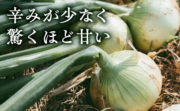【数量限定10個】【先行予約/2026年6月上旬以降順次発送】美味しまねゴールド認証取得! 松江市産　春おとずれ新たまねぎ 2Lサイズ 5kg 島根県松江市/mishiro farm [ALIJ004]