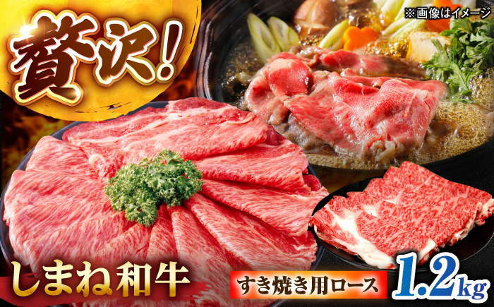 しまね和牛ロース 1.2kg(400g×3パック) すき焼き用 島根県松江市/株式会社さんれいフーズ [ALFR014]