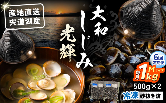 【全6回定期便】産地直送！宍道湖産 冷凍大和しじみMサイズ1kg(500g×2) 砂抜き処理済 島根県松江市/りすたむMatsue [ALDE020]