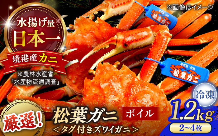 急速冷凍で旨みをぎゅっと閉じ込めた！松葉ガニボイル姿1.2kg以上(2〜4枚) 島根県松江市/中浦食品株式会社 [ALBO003]