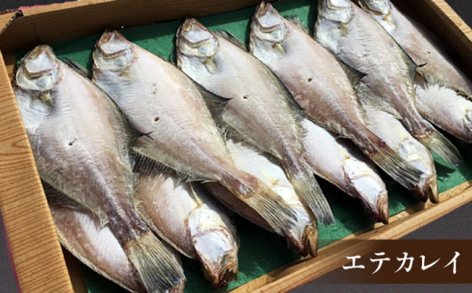 一度食べたらやみつき！恵曇一夜干しセット3種×5尾 島根県松江市/有限会社丸三商店 [ALCP002]