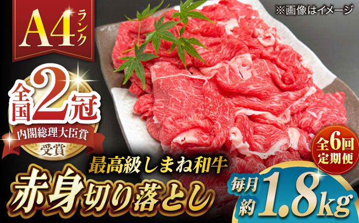 【全6回定期便】その旨味、最上級！「しまね和牛肉」 赤身切り落とし 約1.8kg(180g×10ﾊﾟｯｸ)【高級 焼肉勇花理(ゆうかり)】 島根県松江市/有限会社おき精肉店 [ALFT076]
